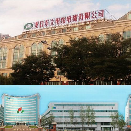 龙口东立电线电缆有限公司