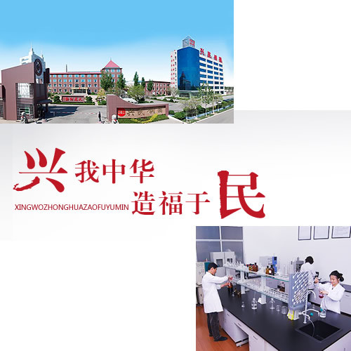 龙口兴民汽车零部件有限公司
