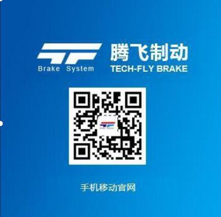 龙口市腾飞制动系统有限公司