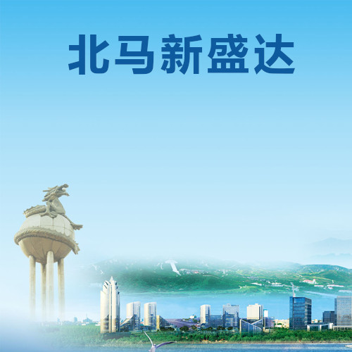 龙口市北马新盛达机械配件厂