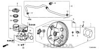 DIAPHRAGM