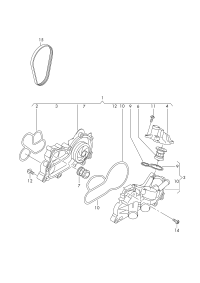 TIMING BELT/A1/A3/VW