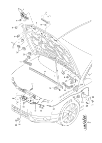 GAS SPRING BONNET- VW GOLF