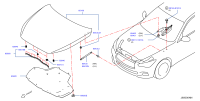 HOOD HINGE ASSY