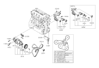 252122E020-V-RIBBED BELT