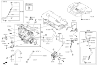 267202B700-HOSE ASSY-PCV