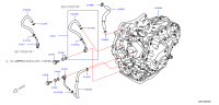 216333VX0A-HOSE-OIL COOLER