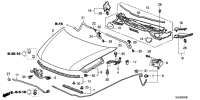 17250RLF000-Seal assy-hood