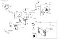 254201F700-HOSE-OIL COOLER