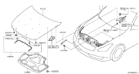 65401JL01B-HOOD HINGE ASSY
