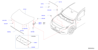 F51005DAMB-HOOD