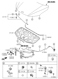 864301M000-W/STRIP-HOOD