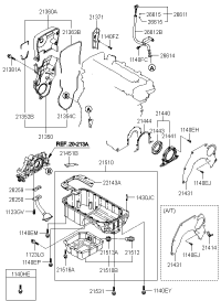 2135023500-COVER ASSY-TIMING BELT LWR