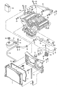 441121101-Coolant hose