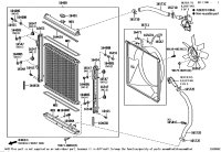 1657231291-HOSE, RADIATOR, NO.2