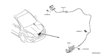 656011YP0A-Lock assy-hood