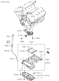 213513C833-COVER,TIMING CHAIN