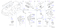 254503TA0B-SW ASSY,SUN ROOF