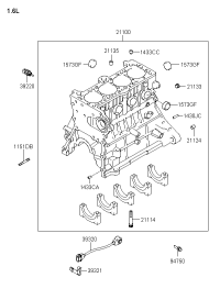 2110023551-BLOCK ASSY-CYLINDER
