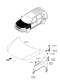 791102P000-Hinge, Hood, LH