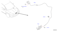 65601ED500-Lock assy-hood