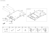 853010U500VYF-HEADLINING ASSY