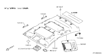 73910JN00B-HEADLINING ASSY