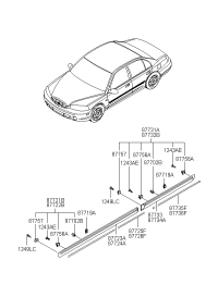 877252D510-BRIGHT-W/LINE MLDG RR DOOR LH