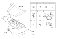 811704T500-ROD ASSY-HOOD STAY