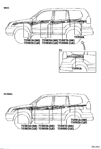 7598160A20-STRIPE, FENDER, RH