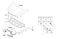 811304V000-Lock assy-hood