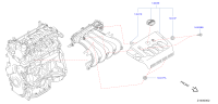 14041ED500-ORNAMENT ASSY-ENGINE COVER