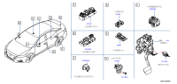 253806CT0A-SW-ASSY TRUNK O