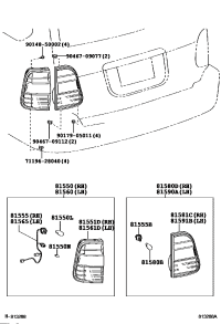 8156160670-LENS & BODY, RR