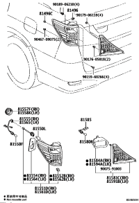 8155158061-LENS & BODY, RR