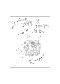 C00075228-SEN-TEMP