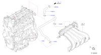 11826EN21A-HOSE-BLOWBY GAS D23T,QR25DE