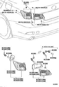 8155153161-LENS & BODY, RR