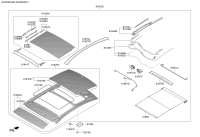 81600C3010TTX-PANORAMA ROOF ASSY