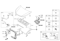 811612W000-LIFTER-HOOD