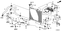19502RP6A00-HOSE,WATER LOWER