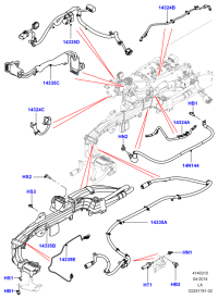LR055302-NUT