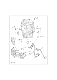 C00256815-CLUTCH