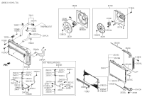 254124D760-HOSE-RADIATOR LOWER