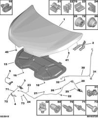 YL00228480-Bumper assy-hood