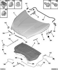 9809046980-Seal, hood side