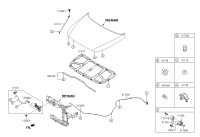 81130D1000-Lock assy-hood