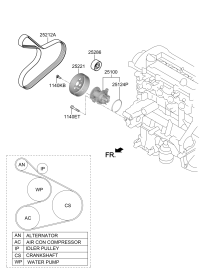 2521203956-V-RIBBED BELT