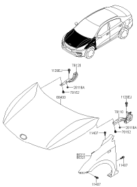 66311H2250-PANEL-FENDER LH