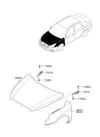 66311QD000-PANEL-FENDER LH